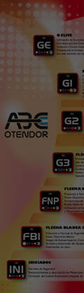 Te: 4976 0028