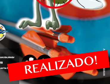 Arqueria evento de 2017